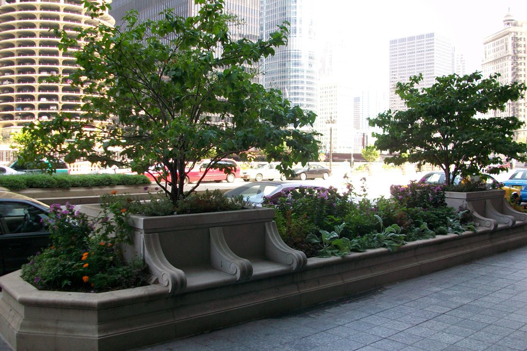 Chicago street garden (Image Credit: Local Ecology)