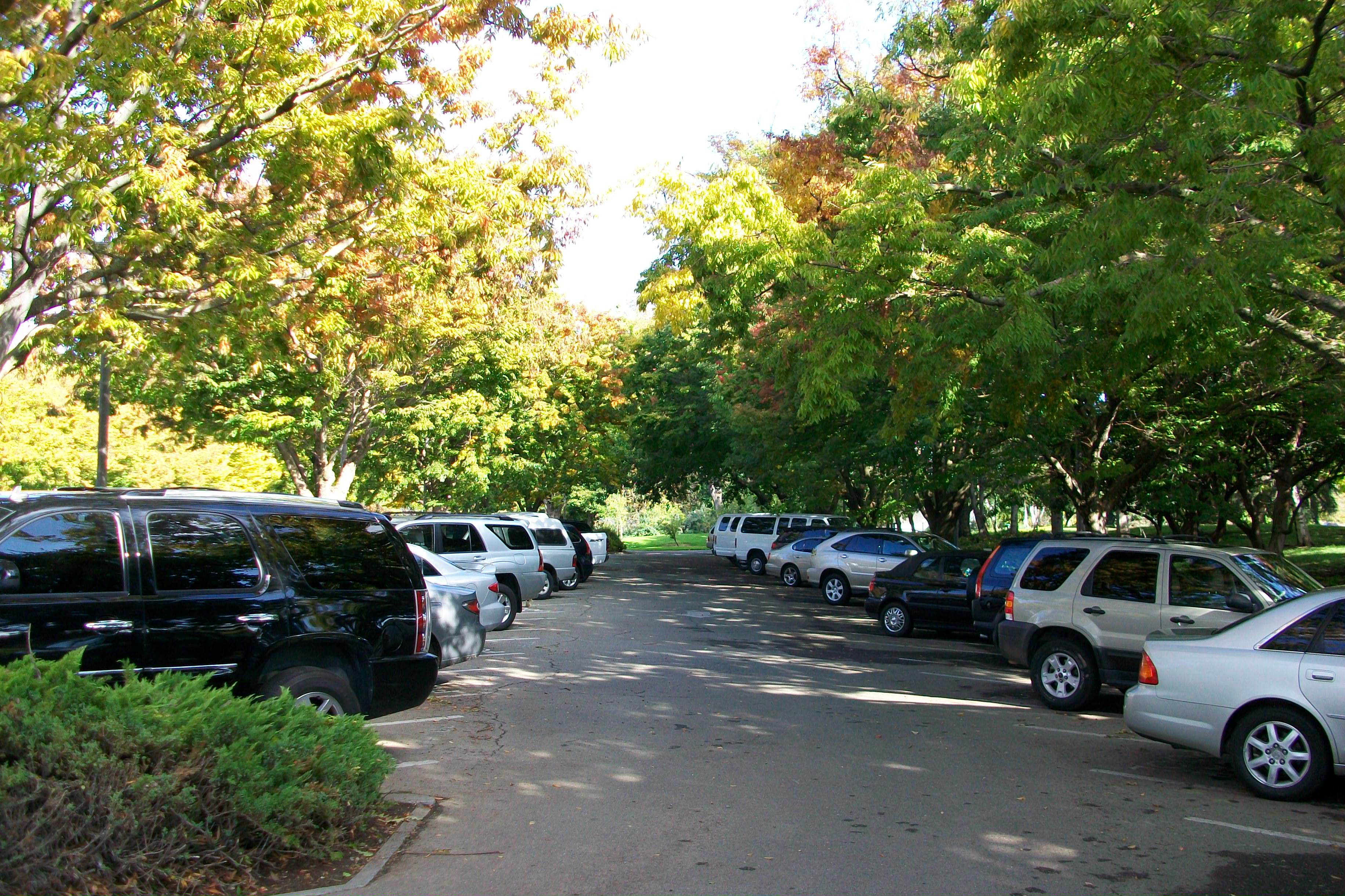 local ecologist: Cooling parking lots - trees face competition from PV ...